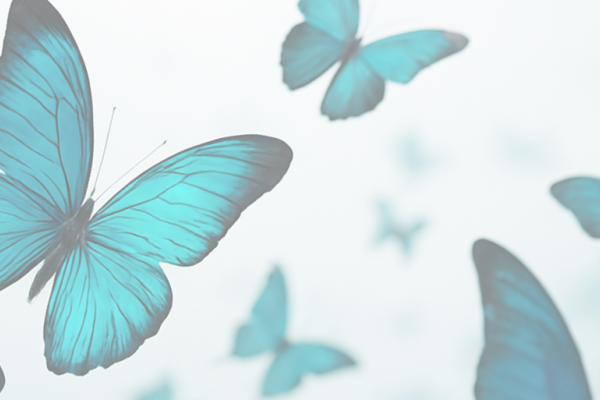 Cycle Ressource et connexion